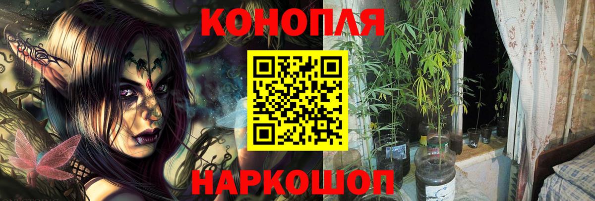 Кириши  Конопля сатива  Вход с VPN  МАРИХУАНА ГИДРОПОН  Шишки марихуана ГИДРОПОН 